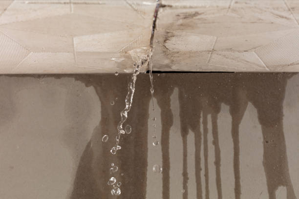 Professional Structural Drying technician working in Ozone Park, NY